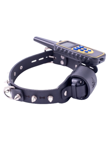 Electric training collar with spikes