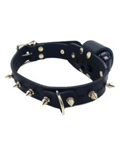 Electric Leather Collar with Spikes – Remote Fetish...