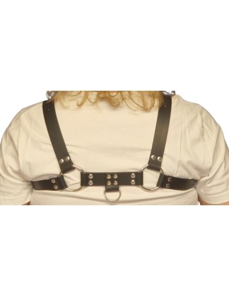 Leather harness v.1