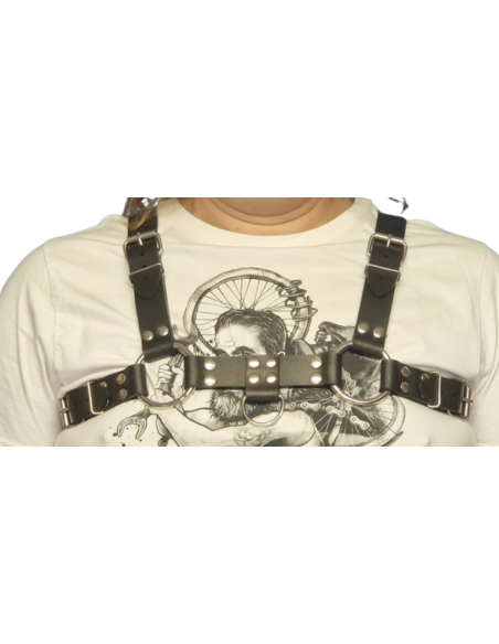 Leather harness v.1