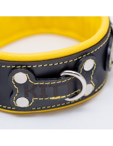 Collar with soft leather lining