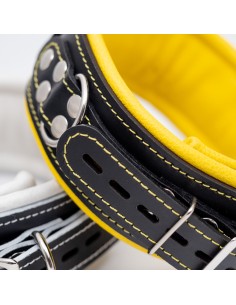 Collar with soft leather lining 2