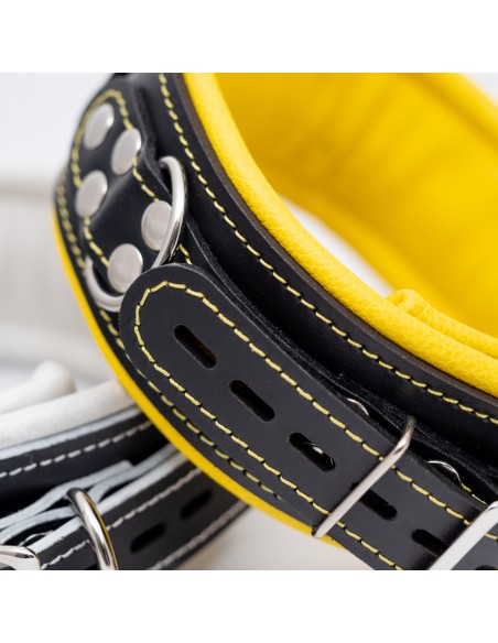 Obroża z miękką skórzaną wyściółką