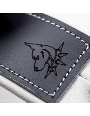 Collar with soft leather lining