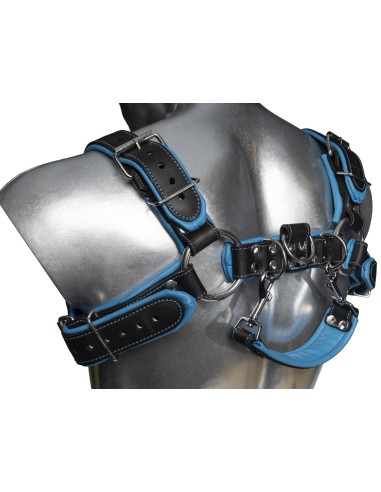 Leather harness v.4