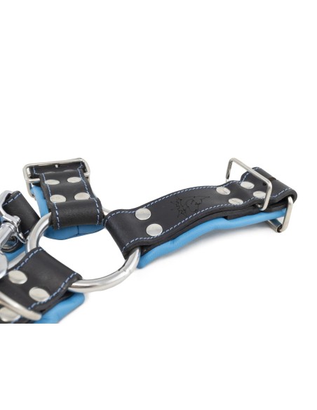 Leather harness v.7