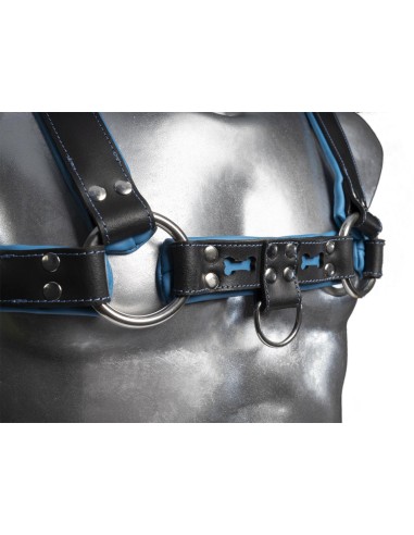 Leather harness v.7