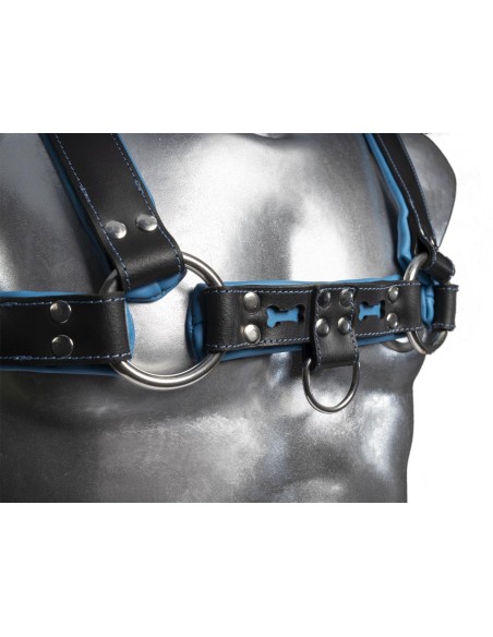 Leather harness v.7