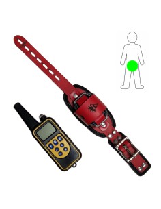 Electric Penis Collar BDSM 2