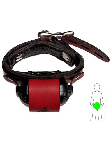 Electric Penis Collar BDSM