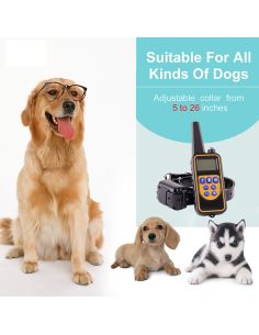 Electric training collar for a dog with a range of up to... 2