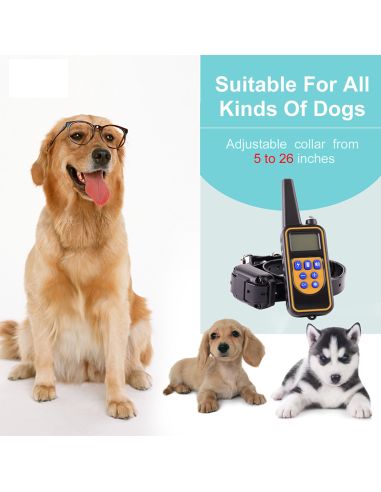 Electric training collar for a dog with a range...