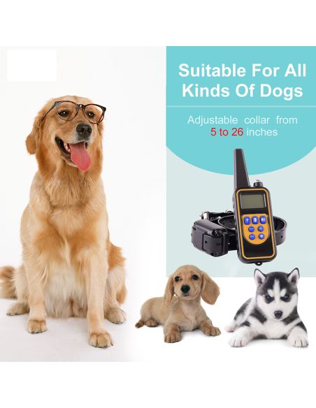 Electric training collar for a dog with a range of up to 800m Treser pilot